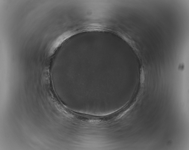 X0000115341453200911161821