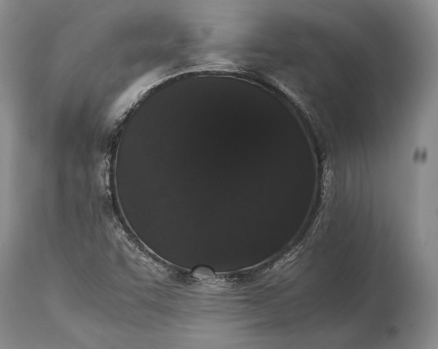 X0000115341455200911161821
