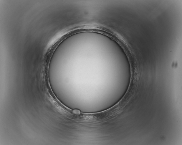 X0000115341456200911161821