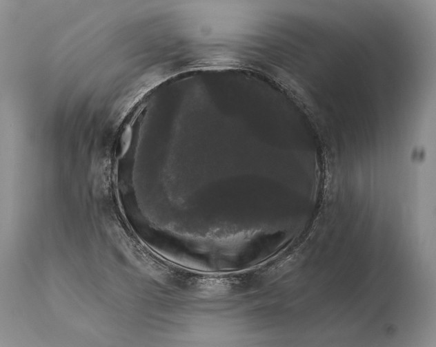 X0000115341457200911161821