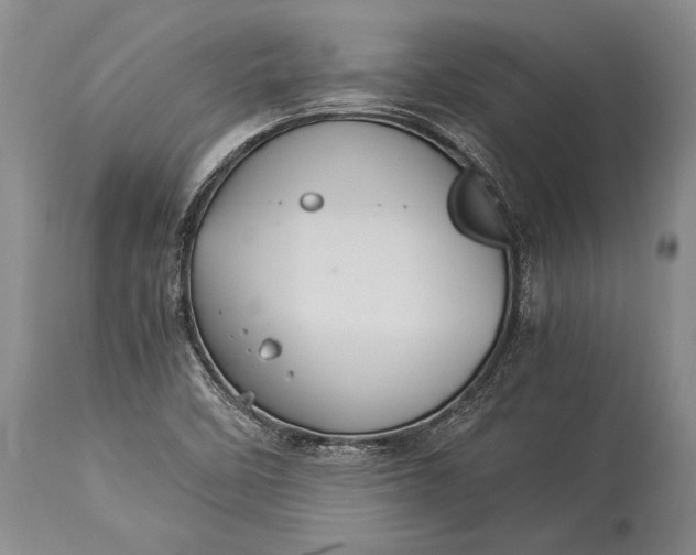 X0000115341458200911161821