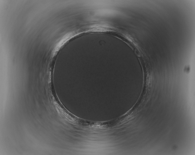 X0000115341459200911161821