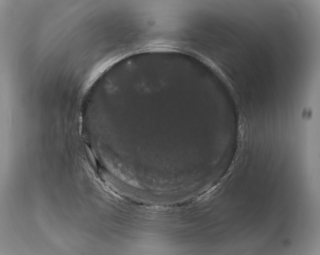 X0000115341461200911161821