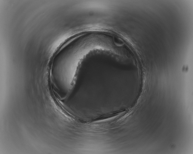 X0000115341463200911161821