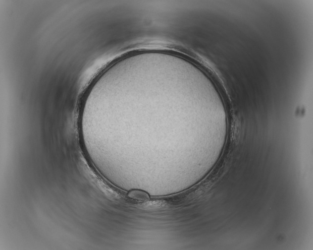X0000115341464200911161821
