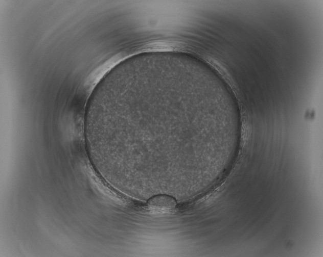 X0000115341465200911161821
