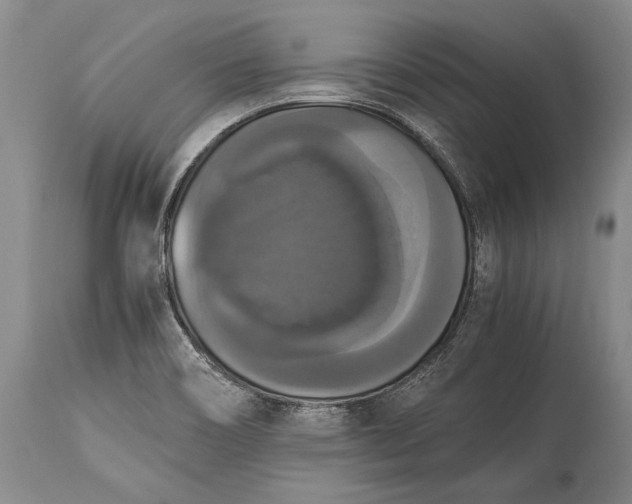 X0000115341466200911161821