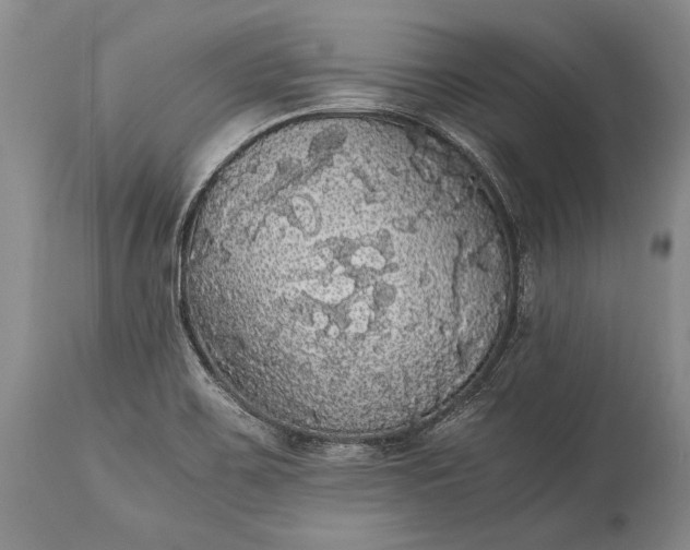 X0000115341467200911161821