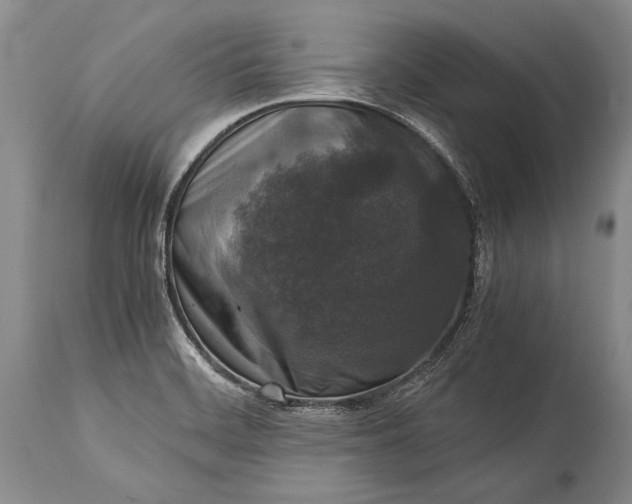 X0000115341468200911161821