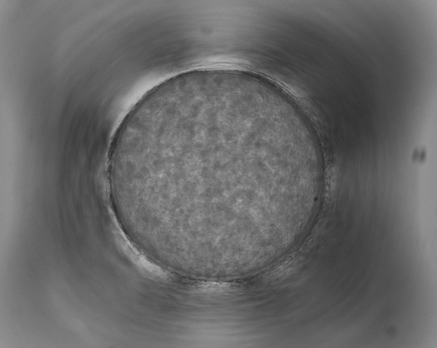 X0000115341470200911161821