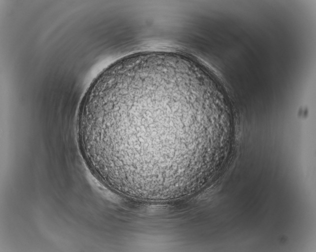 X0000115341471200911161821