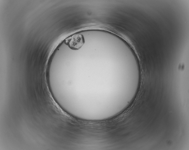 X0000115341472200911161821