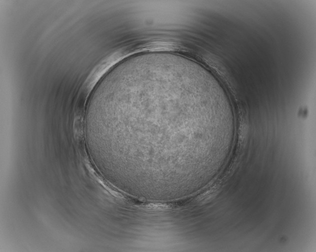 X0000115341473200911161821