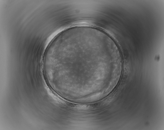 X0000115341474200911161821