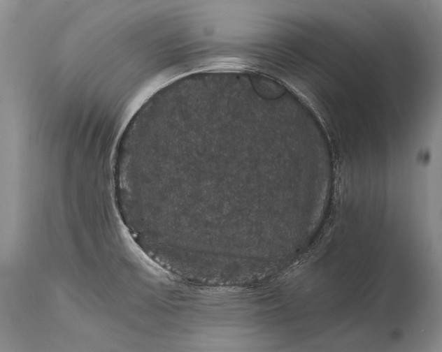 X0000115341475200911161821