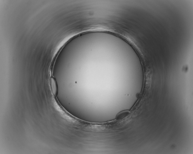 X0000115341476200911161821