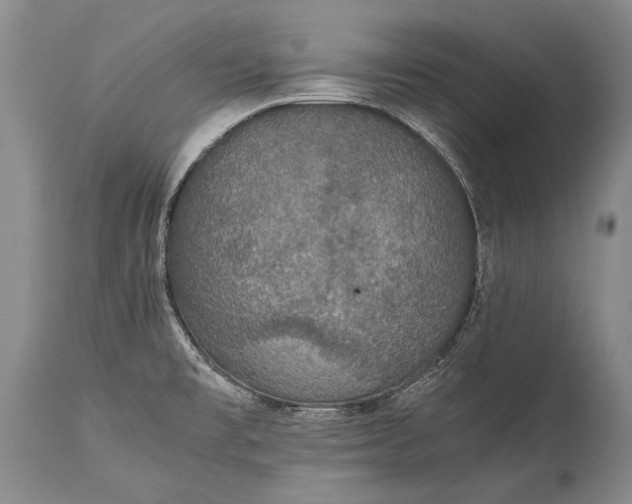 X0000115341477200911161821