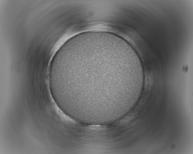 X0000115341478200911161821
