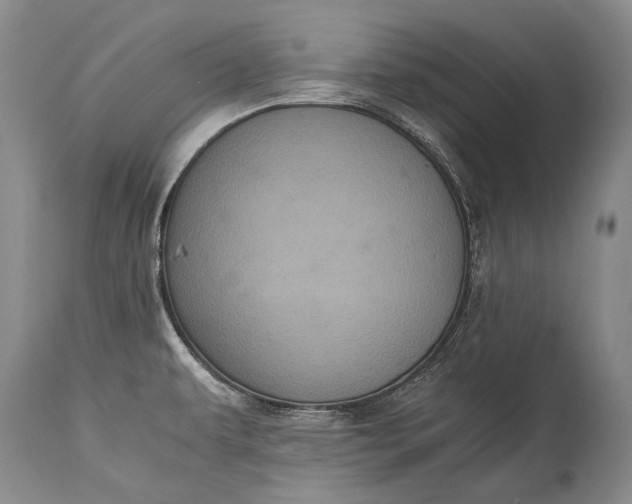 X0000115341479200911161821