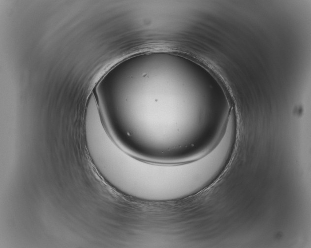 X0000115341481200911161821
