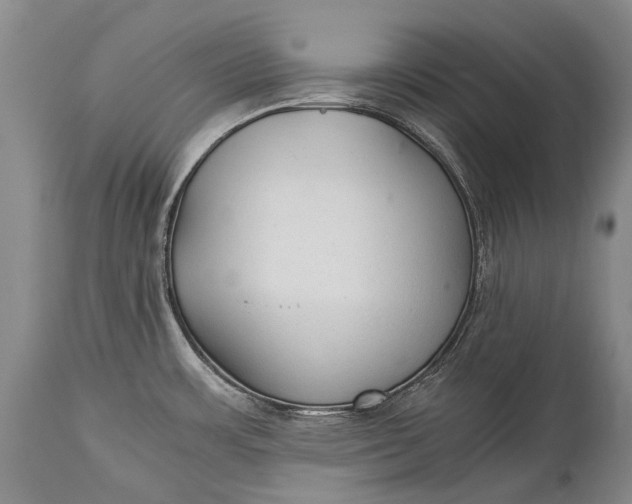 X0000115341483200911161821
