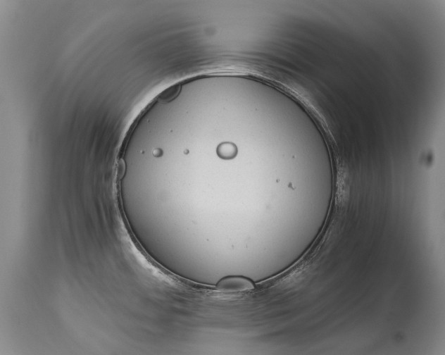 X0000115341484200911161821