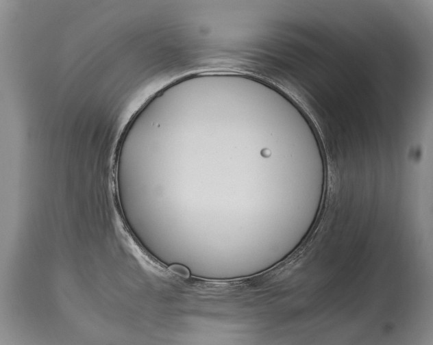 X0000115341485200911161821