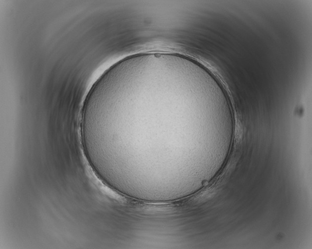 X0000115341486200911161821