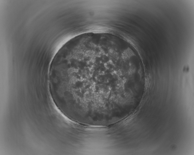 X0000115341487200911161821