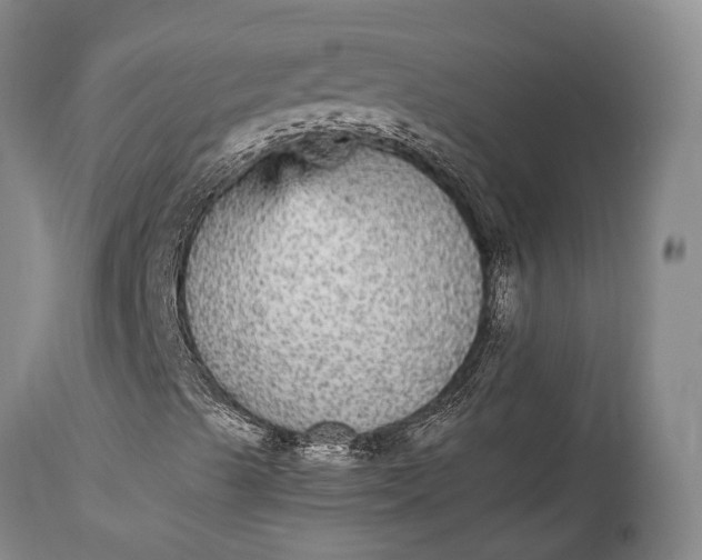 X0000115341489200911161820