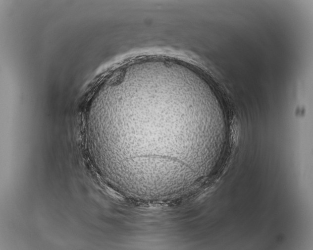X0000115341494200911161820