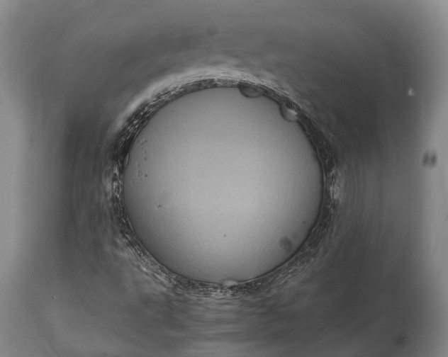 X0000115341495200911161820