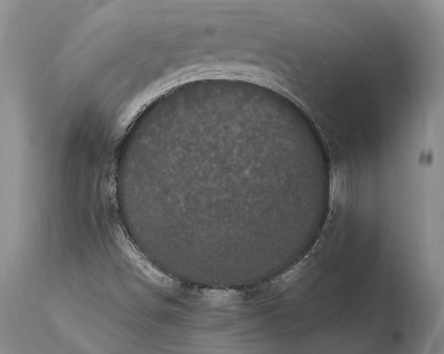 X0000115341498200911161820