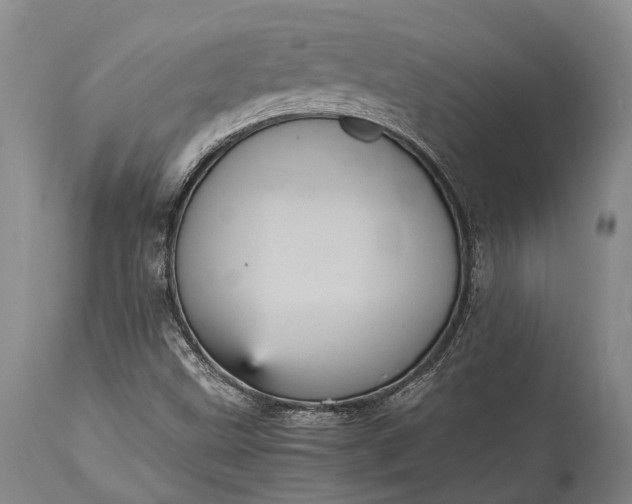 X0000115341499200911161820