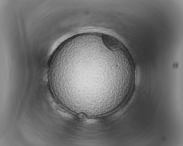 X0000115341501200911161820