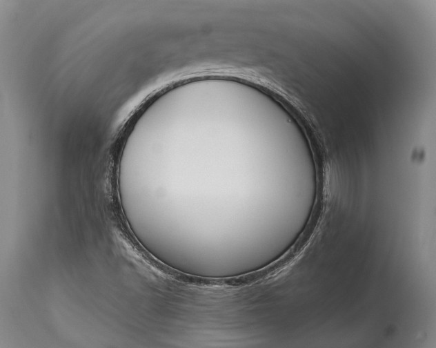X0000115341502200911161820