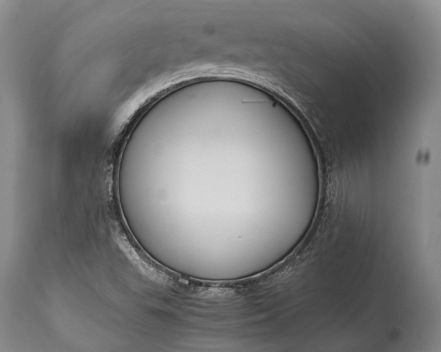X0000115341503200911161820