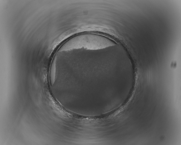 X0000115341505200911161820