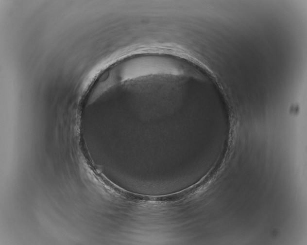 X0000115341506200911161820