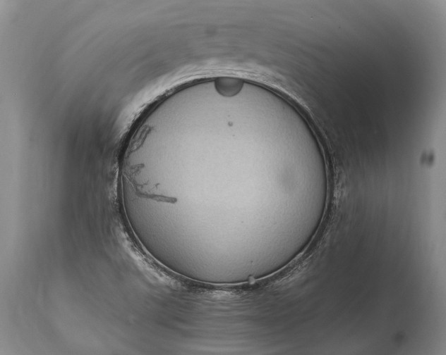 X0000115341507200911161820