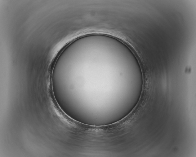 X0000115341511200911161820
