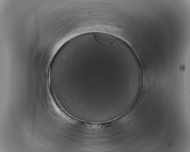 X0000115341515200911161820