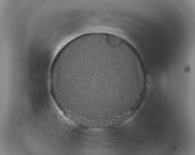 X0000115341517200911161820
