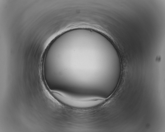 X0000115341518200911161820