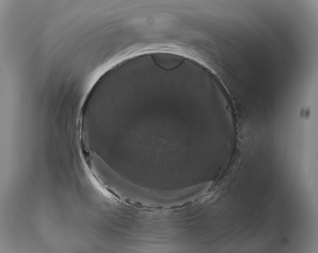 X0000115341519200911161820