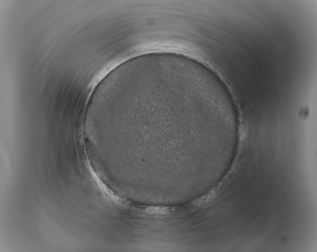 X0000115341521200911161820