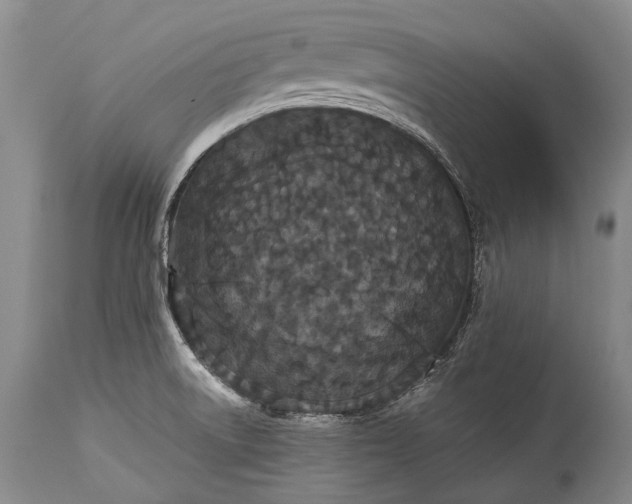 X0000115341522200911161820
