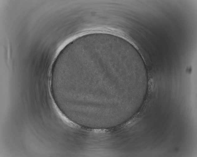 X0000115341523200911161820