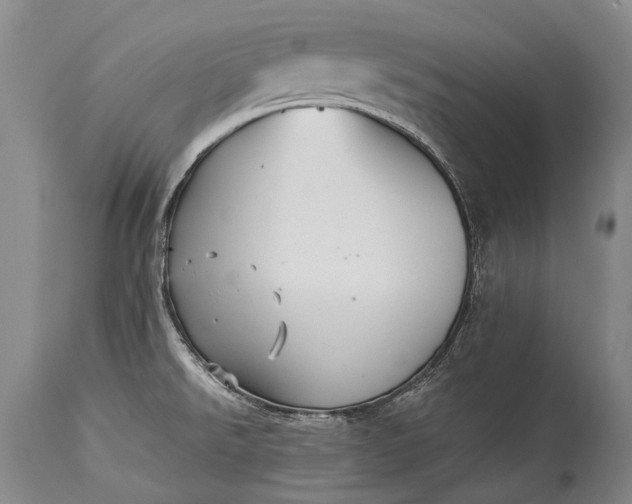 X0000115341526200911161820