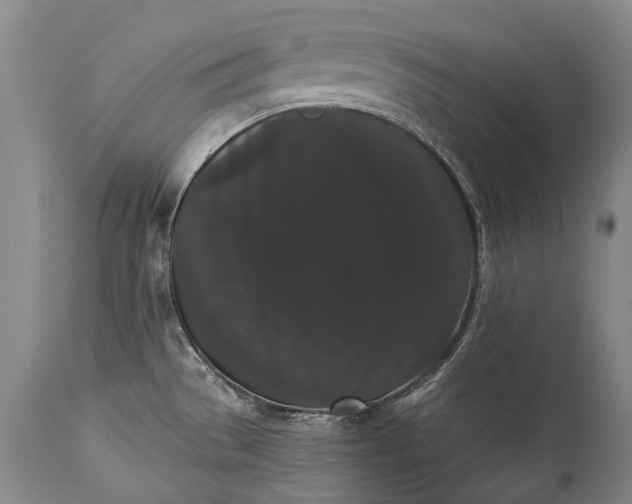 X0000115341529200911161820